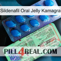 Sildenafil Oral Jelly Kamagra new02